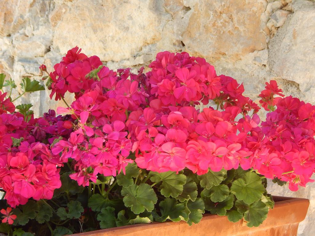I Lecci Bed and Breakfast Lerici Buitenkant foto