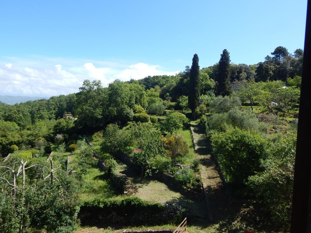I Lecci Bed and Breakfast Lerici Buitenkant foto