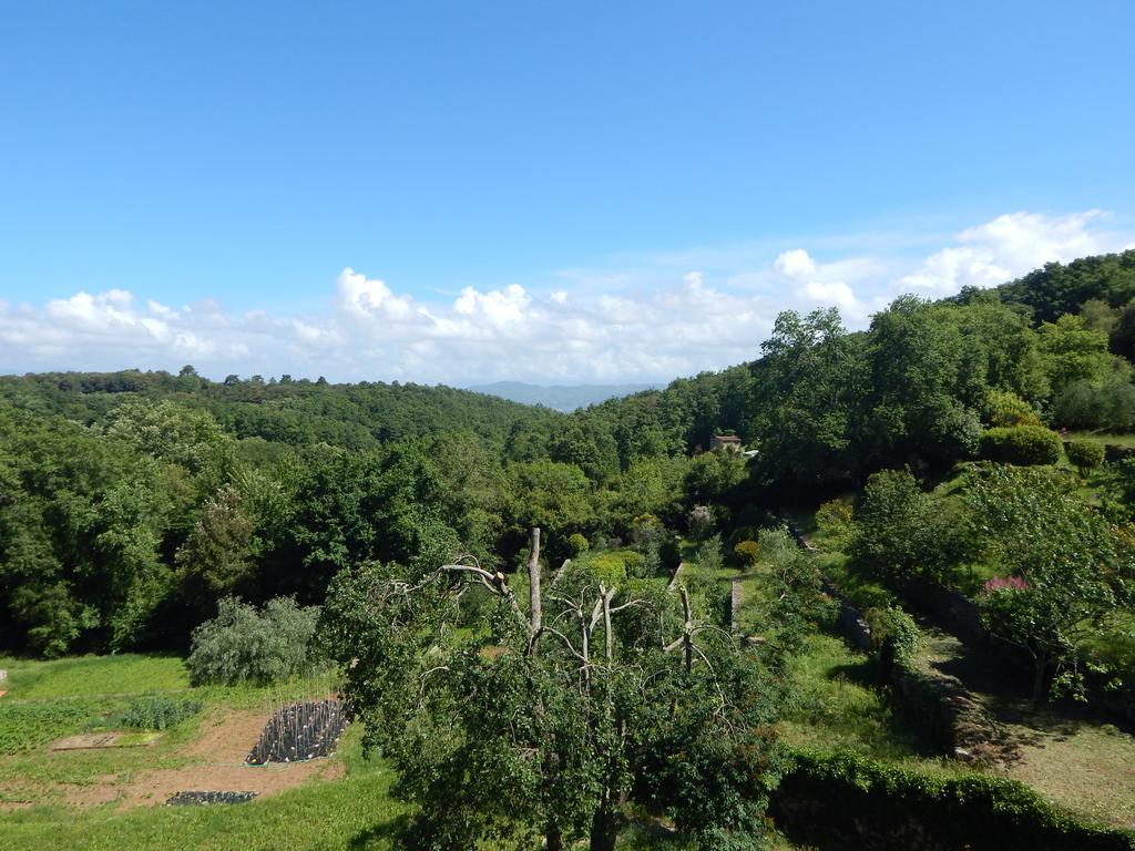 I Lecci Bed and Breakfast Lerici Buitenkant foto