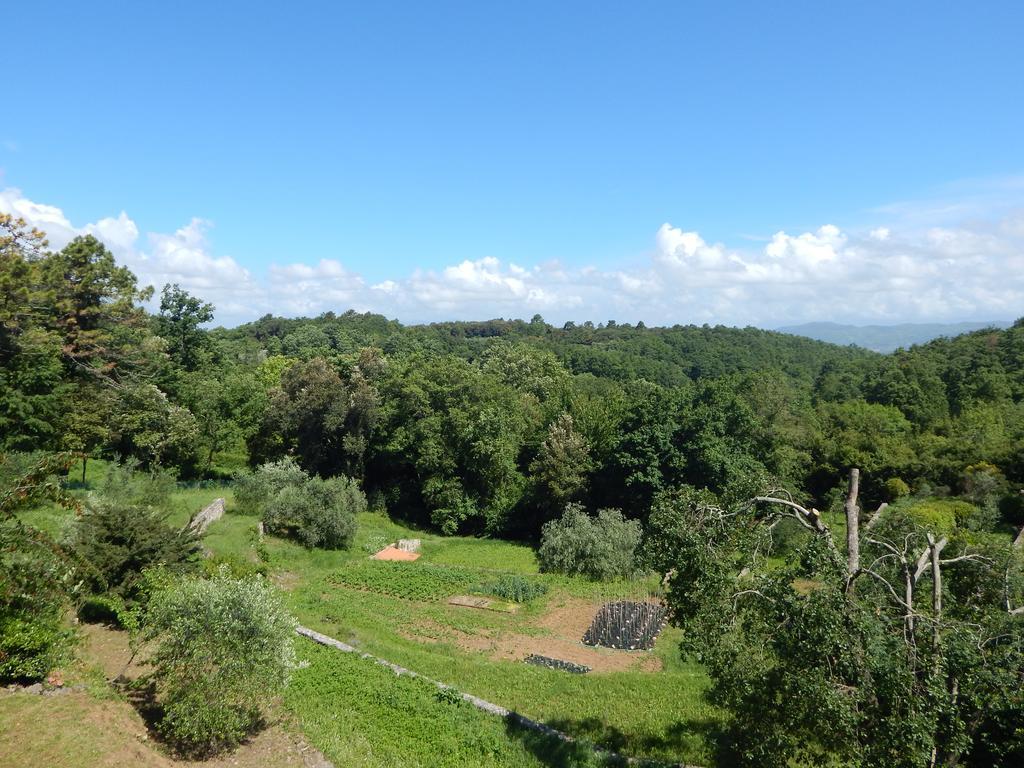I Lecci Bed and Breakfast Lerici Buitenkant foto