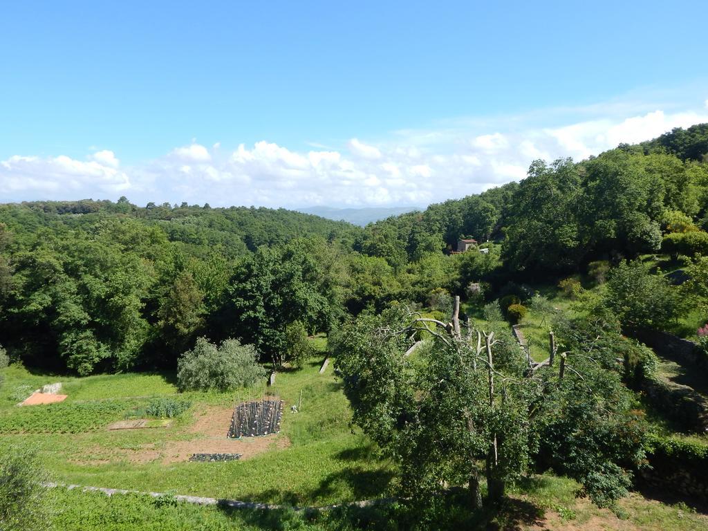 I Lecci Bed and Breakfast Lerici Buitenkant foto